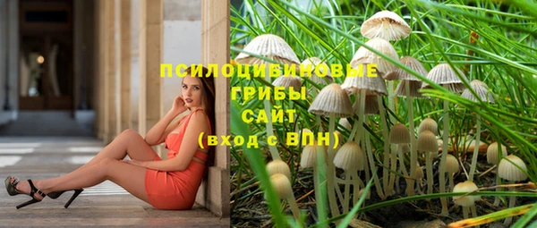 spice Армянск