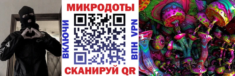 как найти наркотики  Армянск  Псилоцибиновые грибы Cubensis 